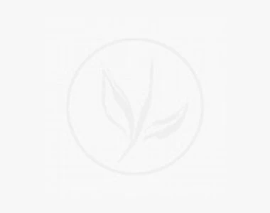 Hedera Hibernica C2 125-150 Cm 3 Hedera Hibernica C2 125-150 Cm